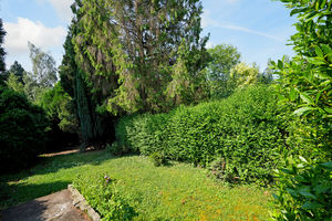 Knowle Lane Ecclesall